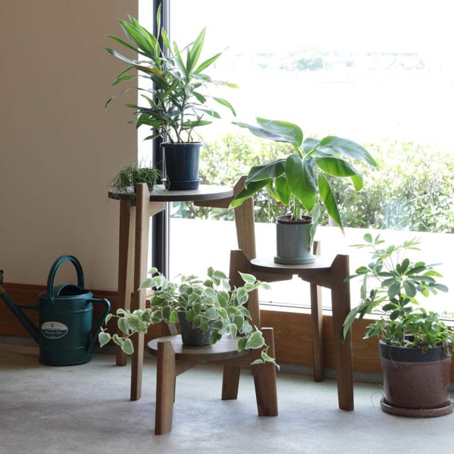 花台 Jardin Plants Table set 木製 （ プランタースタンド フラワー