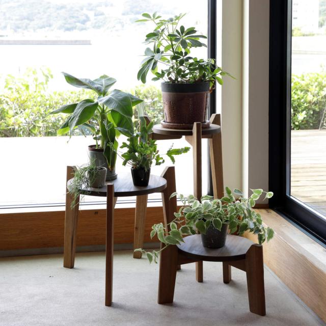 花台 Jardin Plants Table set 木製 （ プランタースタンド フラワー