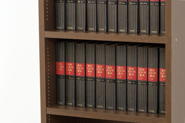 本棚 強化棚シェルフ 幅59cm 高耐荷重 可動棚 1.5cmピッチ 日本製 （ シェルフ 書棚 壁面収納 ラック A4対応 A4ファイル オープンラック 頑丈 収納 家具 シンプル ）の通販は