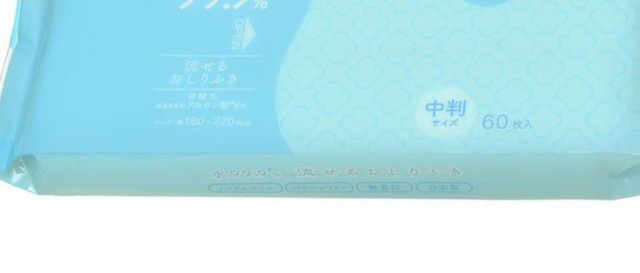 おしり拭き 水99.9 流せる 中判 60枚入り （ おしりふき お尻ふき お尻拭き 純水 99.9％ 排泄介助 衛生的 介護 高齢者 レック LEC  日本製