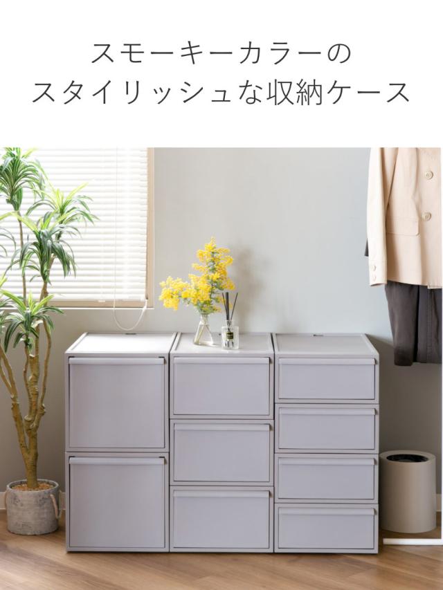 pickering カートリッジ 2個セット 2個収納ケース付 OM-S pickering カートリッジ 2個セット 2個収納ケース付 OM-S