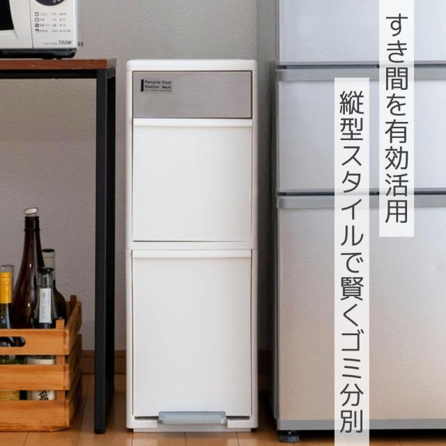 ゴミ箱 35L 幅25.5cm 2段 分別 スイングステーション ワイド （ 35リットル 縦型 ダストボックス ごみ箱 キッチン ふた付き 分別ゴミ箱 スリム ペダル式 シンプル 引き出し おしゃれ スイングふた ペダル カウンター下 隙間 収納 ）_1