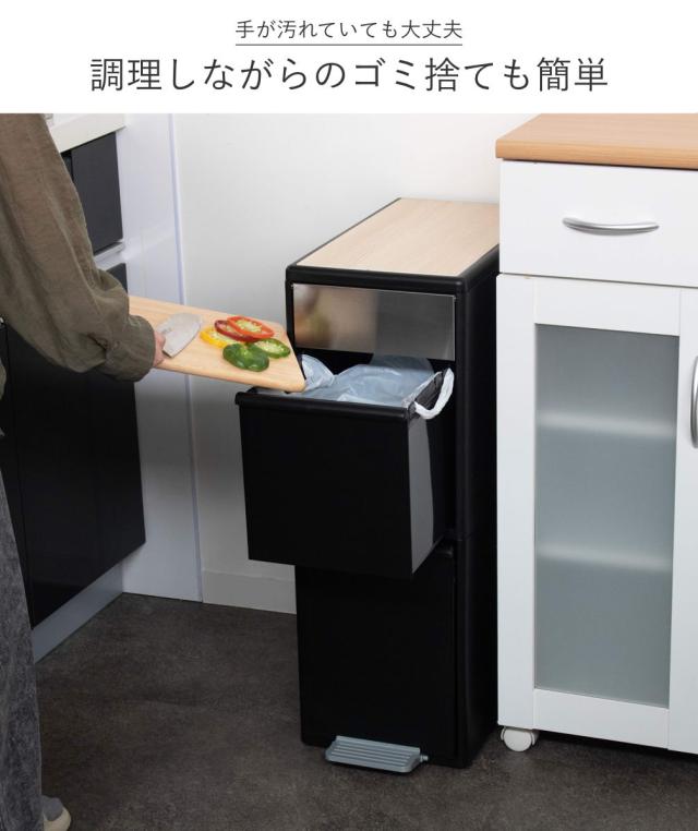 ゴミ箱 35L 幅25.5cm 2段 分別 スイングステーション ワイド ウッド