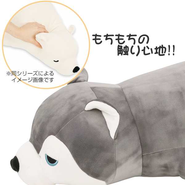 抱き枕 ぬいぐるみ 犬 プレミアムねむねむアニマルズ ミント Lサイズ 抱きまくら 動物 イヌ プレミアム 枕 まくら クッション もちもの通販はau Pay マーケット お弁当グッズのカラフルbox