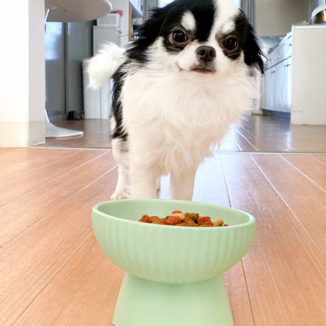 フードボウル 犬 猫 高さがある 陶器 ペット （ 食器 陶器製 エサ皿 餌