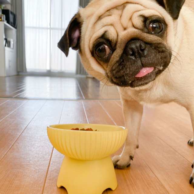 えさ皿 猫 犬 食器 えさ 皿 餌入れ フードボウル ペット 猫用 犬用 ご飯皿 お皿 水飲み 食器台 食べやすい 傾斜 陶器 アイアンバンブースタンドシングル