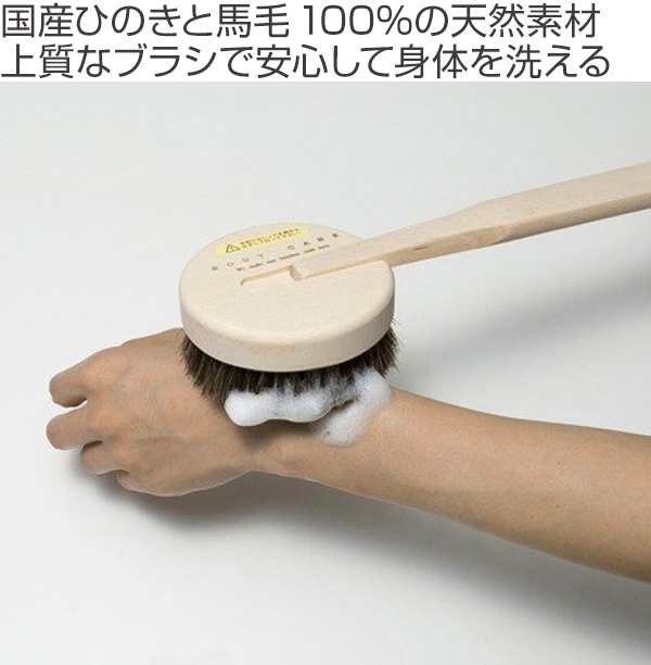 の ボディー 馬 乗馬用品・日本馬事普及