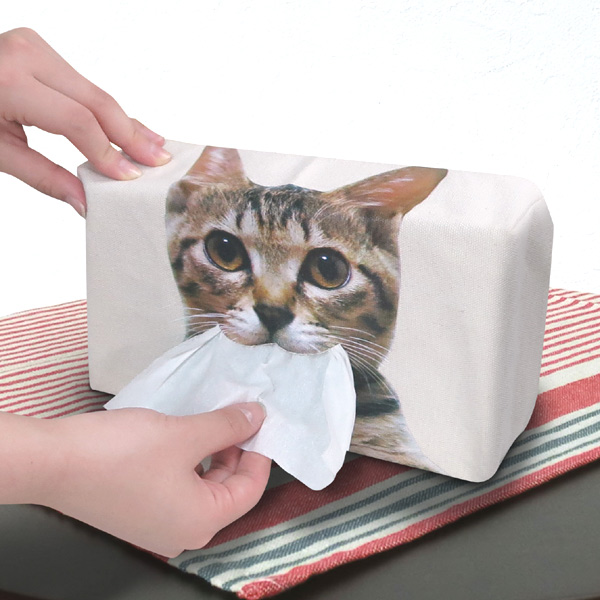ティッシュケース ねこのティッシュケース ねこのしっぽ ねこ ネコ グッズ 猫 雑貨 ハチワレ かわいい おしゃれ ティッシュボックスの通販はau Pay マーケット お弁当グッズのカラフルbox