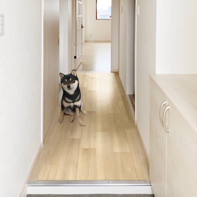 愛玩動物つや消し 雨合羽 180cmx270糎 滑らない 犬 （ つや消し 愛玩動物用 PVC 拭ける 愛玩動物 猫 消臭 防滑 洗える 透け透け 無償性はね除ける 汚れた状態押しとどめる 傷押しとどめる 足腰 厄介なもの助け出す 消臭役立つこと 滑りにくい お取りつくろう飾り気の無い 思わしい 愛玩動物装具 ）