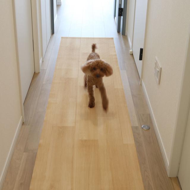 愛玩動物つや消し 雨合羽 180cmx270糎 滑らない 犬 （ つや消し 愛玩動物用 PVC 拭ける 愛玩動物 猫 消臭 防滑 洗える 透け透け 無償性はね除ける 汚れた状態押しとどめる 傷押しとどめる 足腰 厄介なもの助け出す 消臭役立つこと 滑りにくい お取りつくろう飾り気の無い 思わしい 愛玩動物装具 ）
