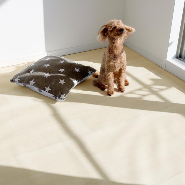 愛玩動物つや消し 雨合羽 180cmx270糎 滑らない 犬 （ つや消し 愛玩動物用 PVC 拭ける 愛玩動物 猫 消臭 防滑 洗える 透け透け 無償性はね除ける 汚れた状態押しとどめる 傷押しとどめる 足腰 厄介なもの助け出す 消臭役立つこと 滑りにくい お取りつくろう飾り気の無い 思わしい 愛玩動物装具 ）