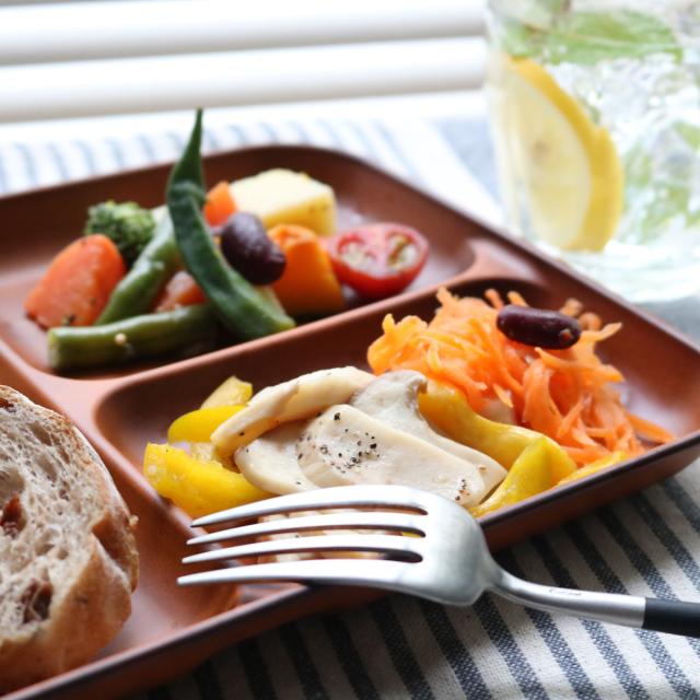 ランチプレート 26.5cm SEE プラスチック 同色5枚セット （ 食洗機対応