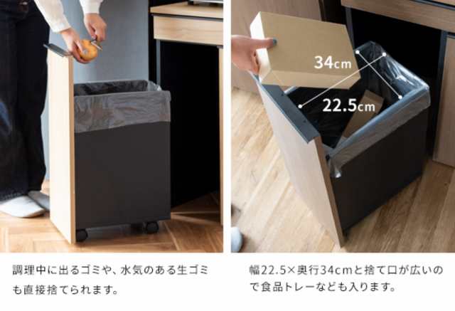 ゴミ箱 45L×2 分別ドロワーダストボックス 木目調 （ ごみ箱 45