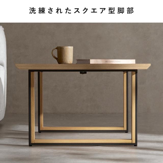 置き目速見表 幅100糎 Roano Signature Studio 真っただ中速見表 （ 速見表 机 矩形 リビング速見表 肌理調 水 キズ 揺るぎ無い メラミン天板 リビング 珈琲速見表 スチール写真 奥ふかさ60糎 ロの字脚 ）