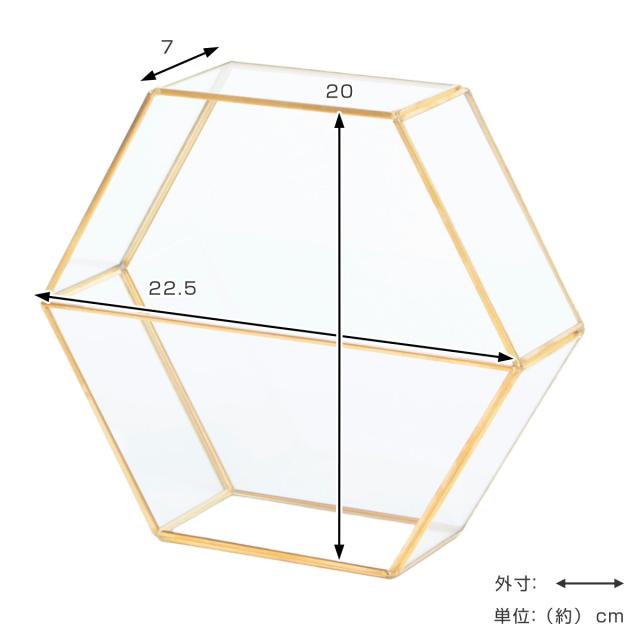 花瓶 フレームベース ヘキサゴン （ 花びん 花器 フラワーベース