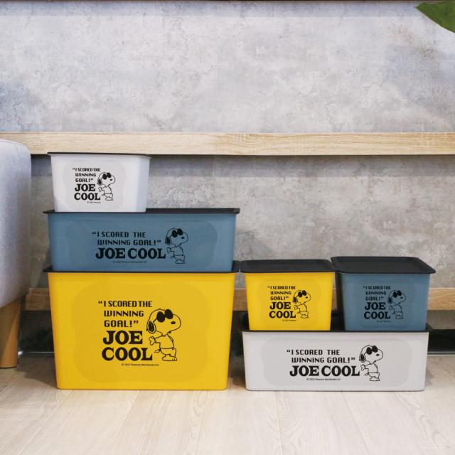 収納ボックス L 幅38×奥行27×高さ24cm スヌーピー コレクトBOX フタ