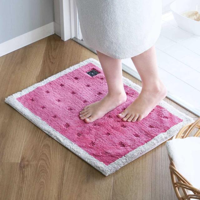 バスマット 乾度良好 Ag＋ クリーンフット 50×70cm （ マット バス用品