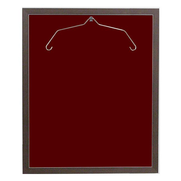 ユニフォーム 収納 ユニフォーム額 L203 Lサイズ フレーム セピア