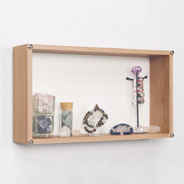 コレクションケース 45×25cm 置き掛け両用 BOX型 フィギュア L401 （ ケース アクリル ボックス 収納 ディスプレイ 保管 透明 薄い 薄型 2way 棚 壁 壁面 収納ケース 収納ボックス 飾り棚 ディスプレイラック 壁面収納 省スペース ）の通販は