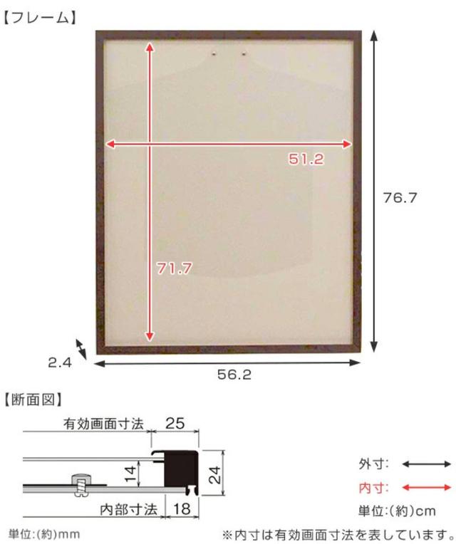 ユニフォーム 収納 ユニフォーム額 L205 MSサイズ （ 額 ディスプレイ 額縁 ユニフォームケース 壁掛け コレクション ディスプレイケース 飾る 人型ハンガー Tシャツ 額装 インテリア ）