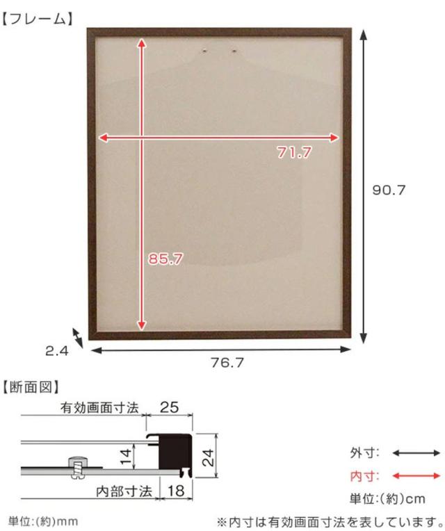 ユニフォーム 収納 ユニフォーム額 L205 Mサイズ （ 額 ディスプレイ 額縁 ユニフォームケース 壁掛け コレクション ディスプレイケース 飾る 人型ハンガー Tシャツ 額装 インテリア ）