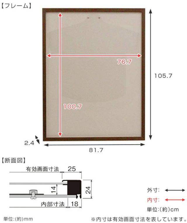 ユニフォーム 収納 ユニフォーム額 L205 Lサイズ （ 額 ディスプレイ 額縁 ユニフォームケース 壁掛け コレクション ディスプレイケース 飾る 人型ハンガー Tシャツ 額装 インテリア ）