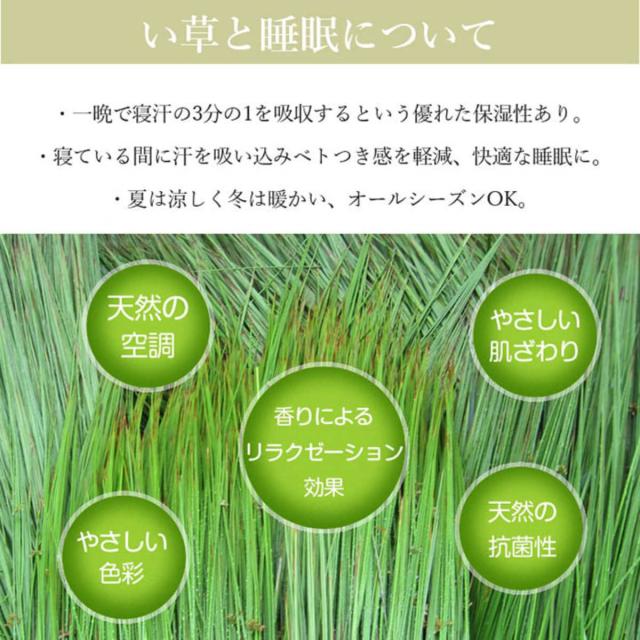 畳ベッド シングル 引出し2杯 宮棚 2口コンセント付 （ ベッドフレーム 畳 ベッド 棚付 天然い草 引出し たたみ 抗菌 調湿 消臭 畳マットレス 畳付 コンセント付 ブラウン ナチュラル ）_4