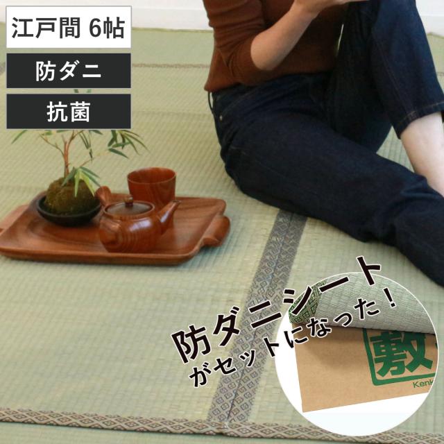 い草 上敷きセット 江戸間 6帖 白山+防ダニシート健康敷紙 白山 双目 （ い草マット い草カーペット カーペット ラグ ござ 防ダニシート付き 天然素材 抗菌加工 防ダニ 消臭性 除湿 保湿 静音 防ダニシート 防ダニ加工 抗菌 ）