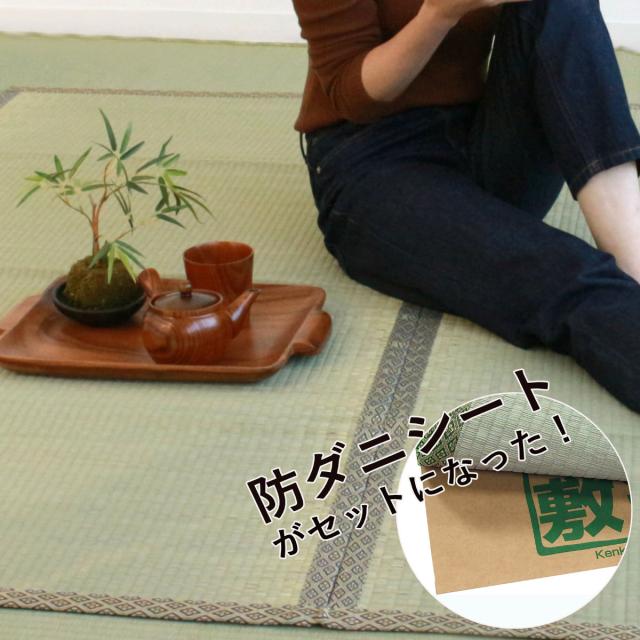 い草 上敷きセット 江戸間 6帖 白山+防ダニシート健康敷紙 白山 双目 （ い草マット い草カーペット カーペット ラグ ござ 防ダニシート付き 天然素材 抗菌加工 防ダニ 消臭性 除湿 保湿 静音 防ダニシート 防ダニ加工 抗菌 ）