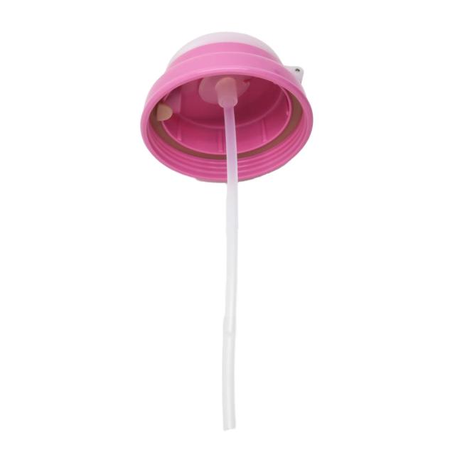 水筒 ストロー付水筒 ハローキティフルーツ 450ml （ キティ ストロー