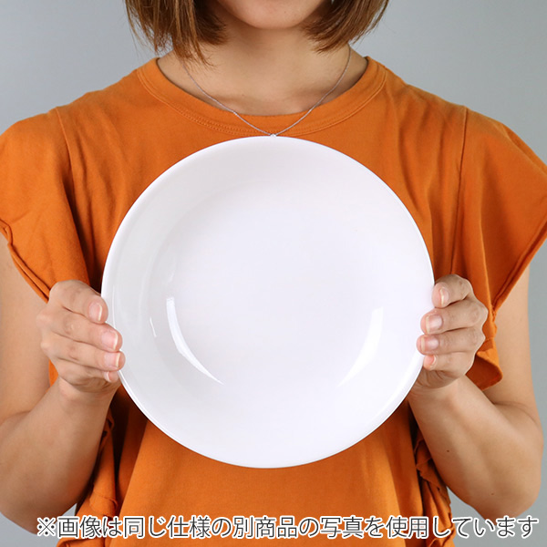 プレート 21.5cm コレール CORELLE フェアリーフローラ （ 食洗機対応