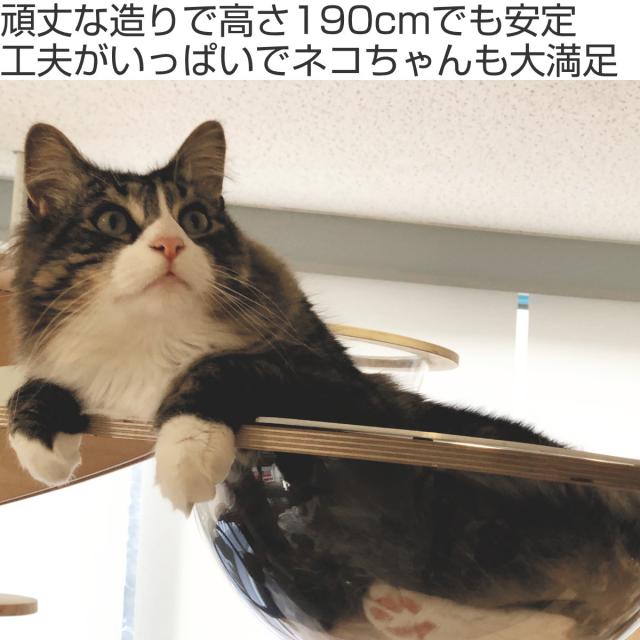 キャットタワー ねこぞく スカイタワー 木製 据え置き （ キャットツリー 猫タワー 190cm 爪とぎ キャットハウス おしゃれ インテリア 猫 ねこ 猫用品 運動不足 ストレス解消 キャットウォーク ペット用品 ）_1