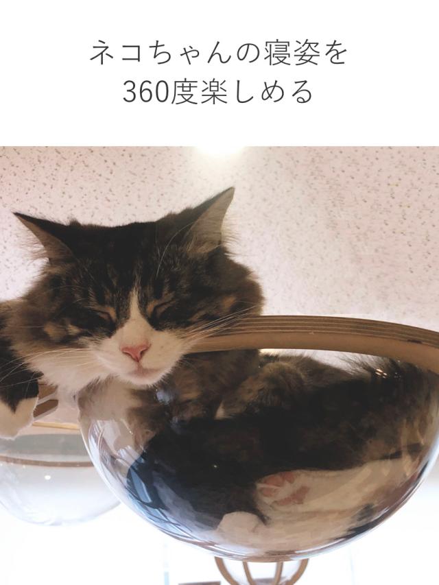 キャットタワー ねこぞく スカイタワー 木製 据え置き （ キャットツリー 猫タワー 190cm 爪とぎ キャットハウス おしゃれ インテリア 猫 ねこ 猫用品 運動不足 ストレス解消 キャットウォーク ペット用品 ）_5