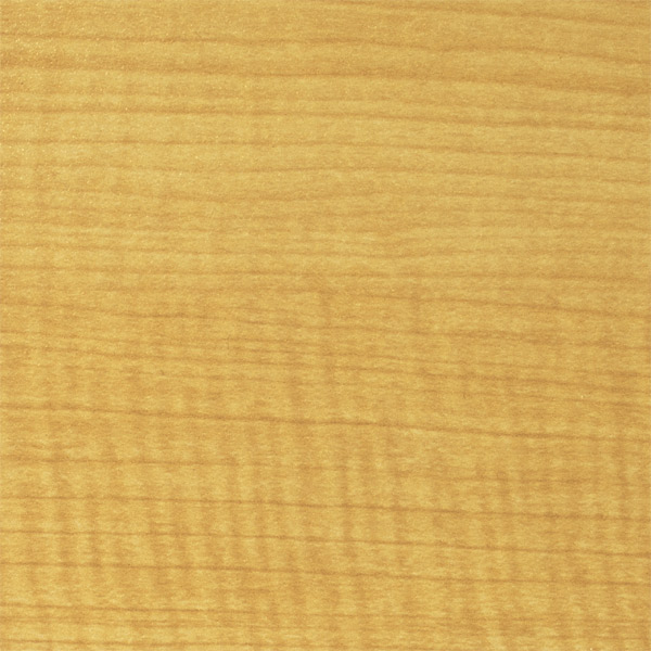 【法人限定】 木製マガジンラック2 ハイタイプ （ 本棚 スリムスタンド 雑誌 書籍 本 ブックシェルフ 薄型 マガジンラック パンフレットスタンド 雑誌ラック マガジンシェルフ ブックラック シンプル リビング キッチン ）の通販は