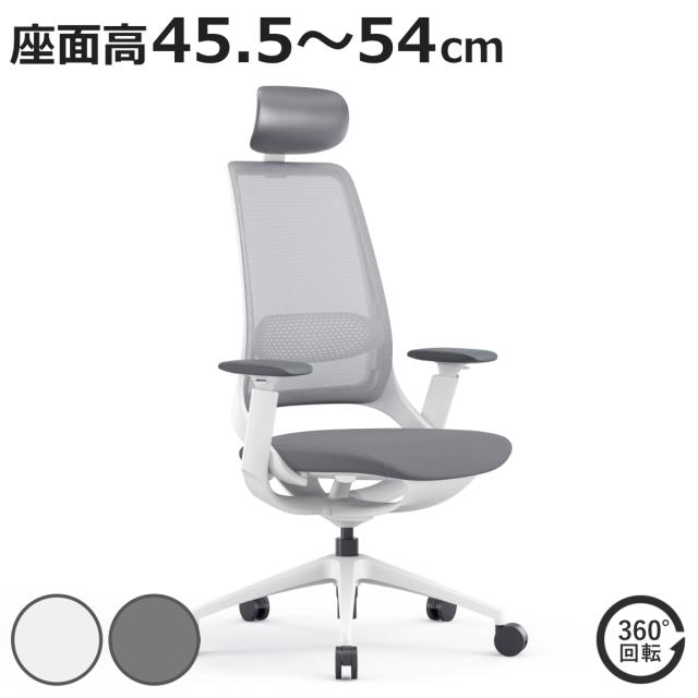 オフィスチェア 座面高 45.5〜54cm 肘掛け付き ヘッドレスト付き ハグチェア （ 法人限定 ワークチェア パソコンチェア ロッキング機能 高さ調節 メッシュ 可動式アームレスト ランバーサポート 学習椅子 勉強椅子 イス 椅子 ）