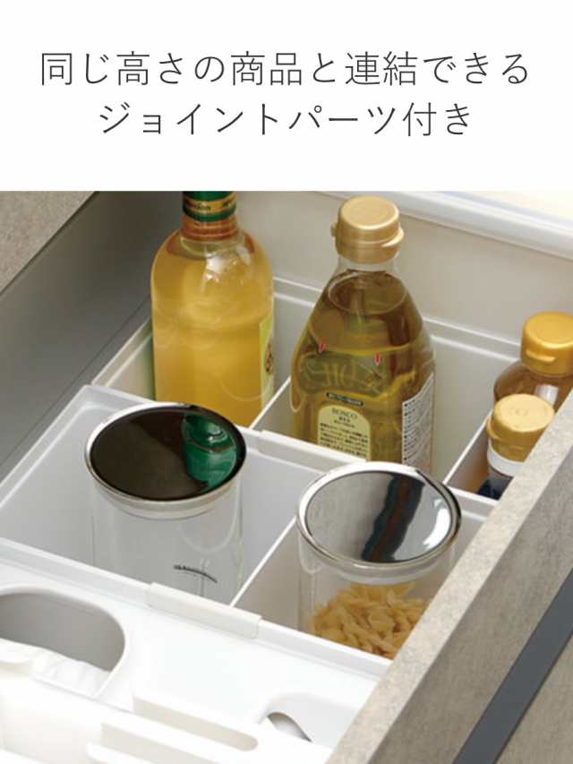 調味料収納 引き出し用調味料収納ボックスN TOTONO （ トトノ 仕切り