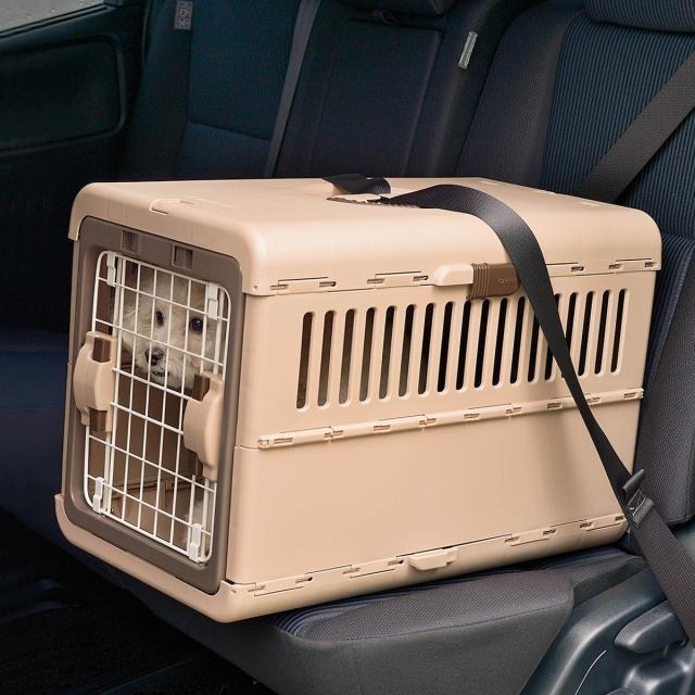 ペットキャリー キャンピングキャリー 折りたたみ Ｍ （ ペット用キャリー 折り畳みキャリー ペットキャリーボックス 犬用キャリー リッチェル ペット用 お出かけ コンパクト ペット用品 キャリー 旅行 通院 ）_7