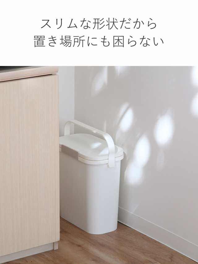 ゴミ箱 運べる防臭ペール 10L パッキン付き スリム ロック付き （ ごみ箱 10リットル ふた付き 持ち運び ニオイ ペット 赤ちゃん おむつ  ｜au PAY マーケット