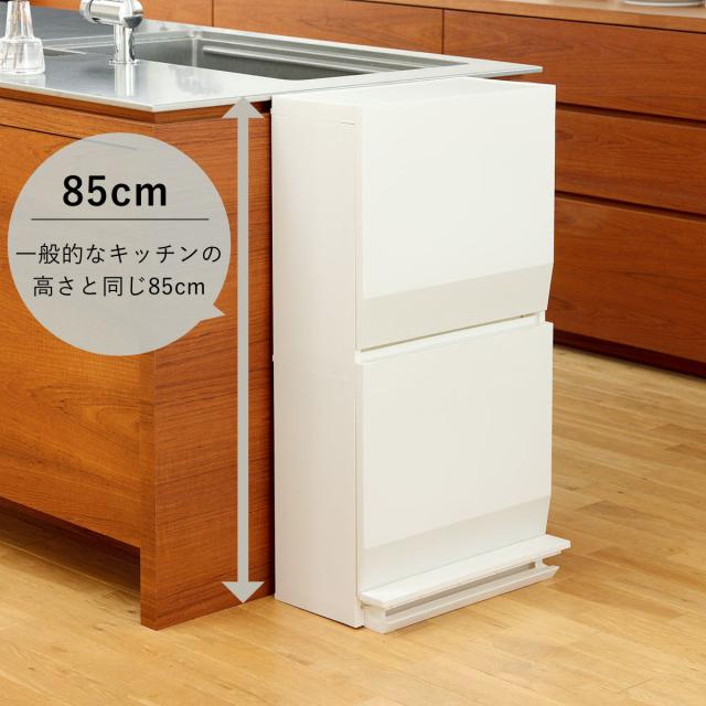 ゴミ箱 SOLOW 通路で使えるペダル分別ストッカー 45L 2段 （ ごみ箱 45