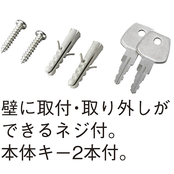 キーボックス 20個吊 壁掛け 壁掛け 携帯 兼用 2WAY 持ち運び （ ケース 大型 鍵 保管 セキュリティ ボックス 管理 キーフック 鍵掛け 鍵フック 守衛 警備室 オフィス 会社 ）_2