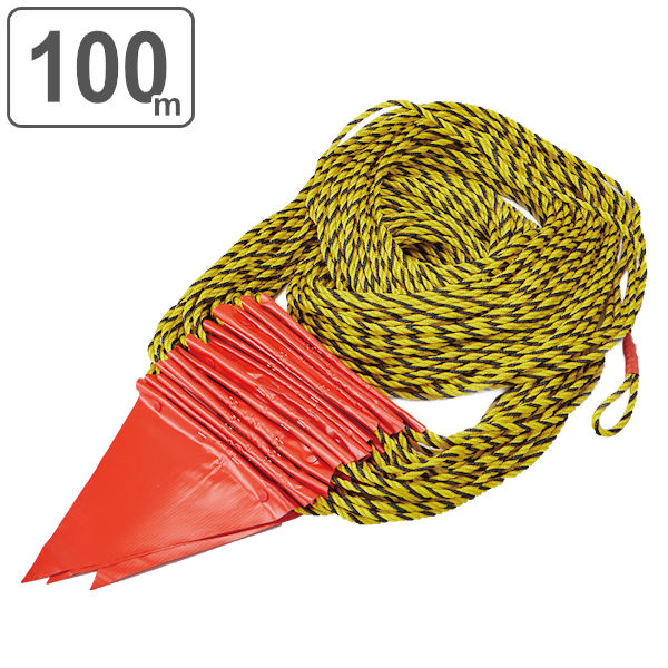 GNアンブリフォルスブースター&アンブリフォルスコンサントレ GNアンブリフォルスブースター&アンブリフォルスコンサントレ