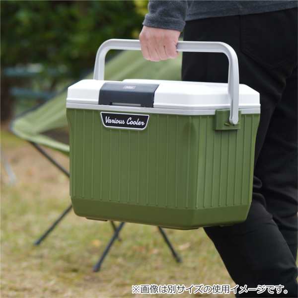 98%OFF!】 クーラーバッグ 500ml×40本分 保冷力 日本製 水分補給 釣り 取手 ホワイト 水抜栓あり 部活 クーラーボックス 熱中症 48L  アウトドア 大型 行楽 サイドハンドル 発泡材 キャスター スポーツ ランド クーラー 花見 キャンプ 保冷 バーベキュー ホリデー アウトドア