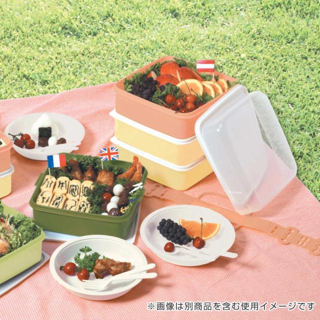 お重 3段 リオパック N3段 4800ml 取り皿付き （ ランチボックス 行楽