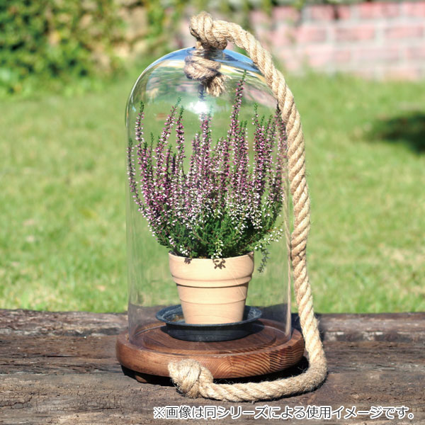 ガーデン オーナメント ガラス 高さ37cm ガーデン雑貨 インテリア 雑貨 ガーデニング 室内 フラワーアレンジ 観葉植物 植物 ドライフの通販はau Pay マーケット リビングート
