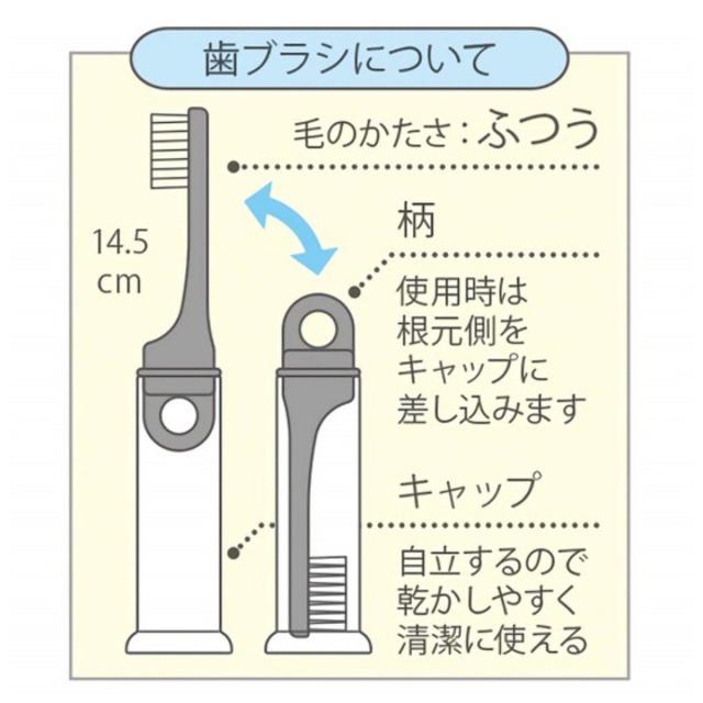 歯ブラシ デンタルキット 歯ブラシ付き CNお友だち （ シナモン コップ