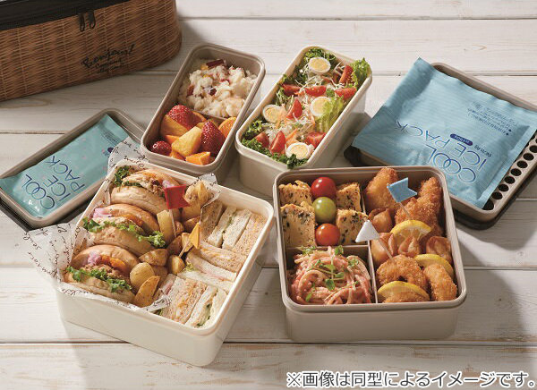 弁当箱 運動会 行楽ランチセット Peanuts スヌーピー レッツチア ランチボックス 3800ml Snoopy お弁当箱 ピクニック 大容量 キャラクの通販はau Pay マーケット リビングート