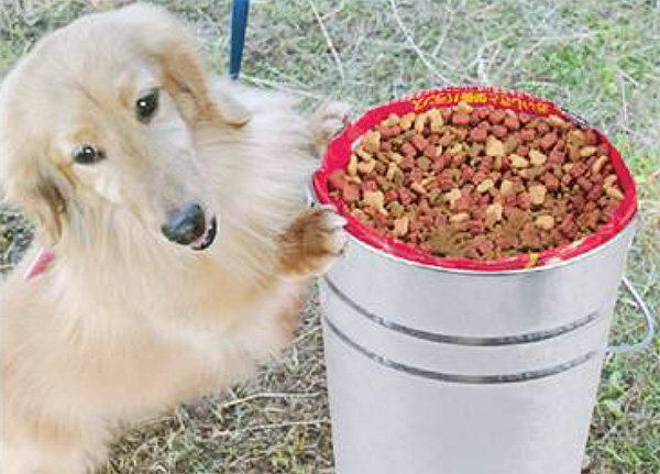 米びつ 30kg 丸型 トタン 袋のまま 米櫃 ライスボックス こめびつ 米ストッカー コメビツ お米入れ お米収納 お米保存 30キロ 袋ごと の通販はau Pay マーケット お弁当グッズのカラフルbox