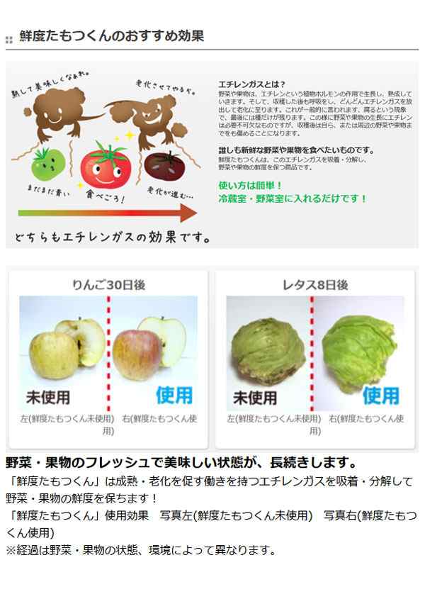 脱臭剤 冷蔵庫用 野菜室用 鮮度たもつくん 1個入 （ 冷蔵庫 野菜室