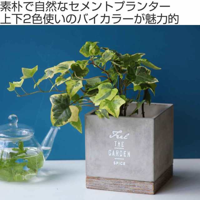 鉢 プランター ポット 天然 木 ガーデニング 菜園 寄せ植え タカショー