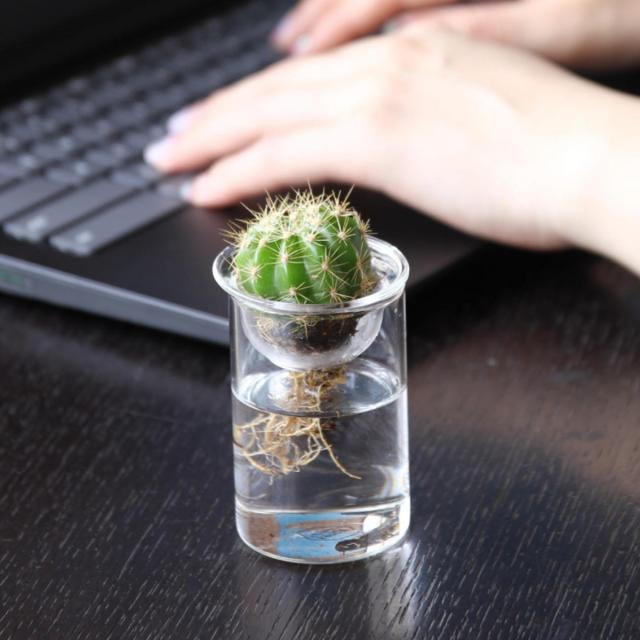 花瓶 Mini Bulb Vase 水栽培ガラスベース クリア 7cm 花器 フラワーベース 花 グリーン 栽培 卓上花瓶 一輪挿し ミニ 小さい 二重 ハの通販はau Pay マーケット インテリアパレット